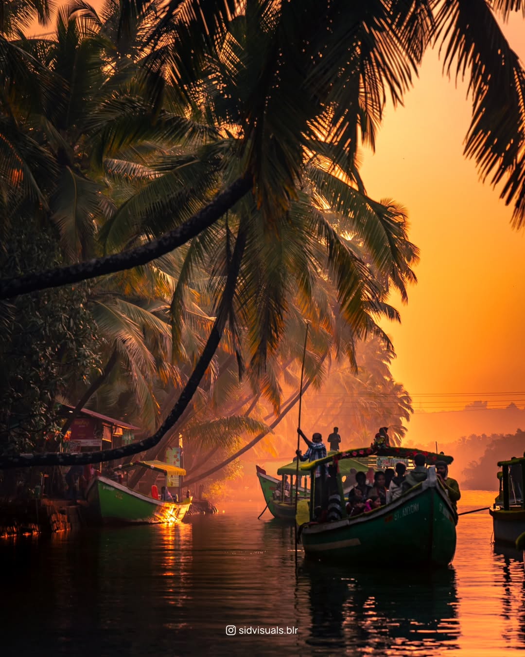 Boats under palm trees at sunset